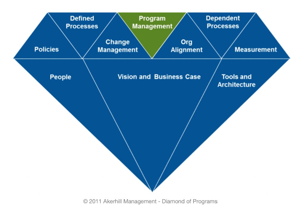 Diamond of Program Management